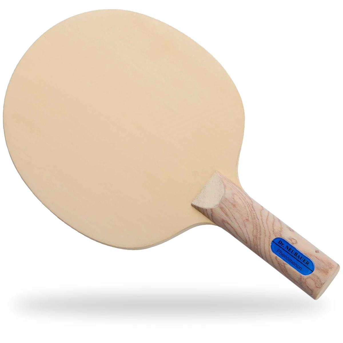 Dr. Neubauer Holz Phenomenon Anatomisch