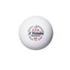 Nittaku Ball Premium 40+ *** Cell Free 120er Weiß