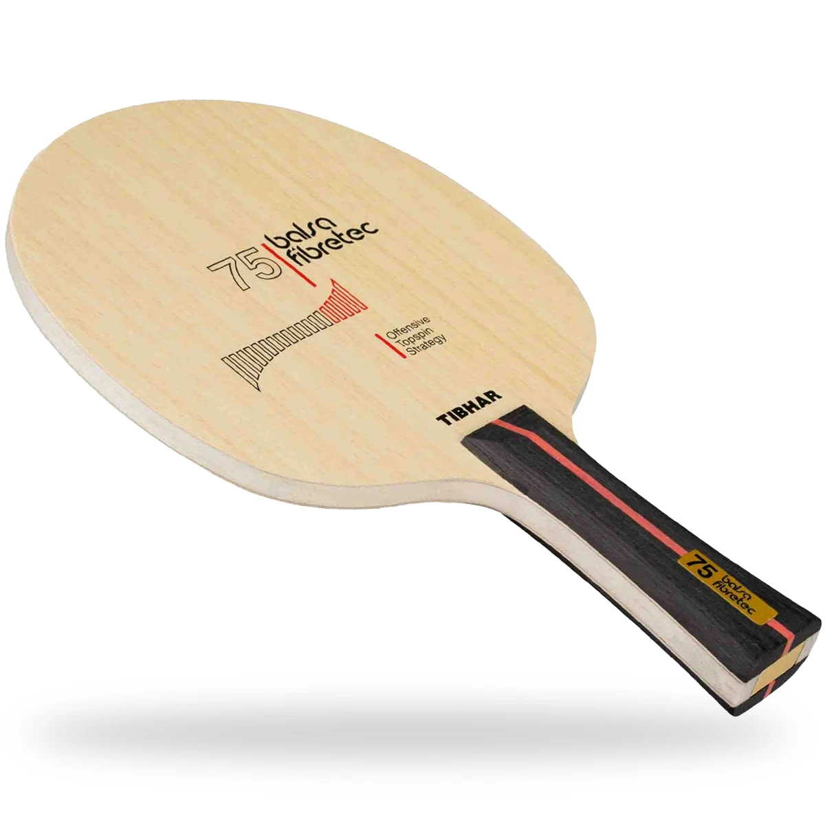 TIBHAR Holz Balsa Fibretec 75 Konkav