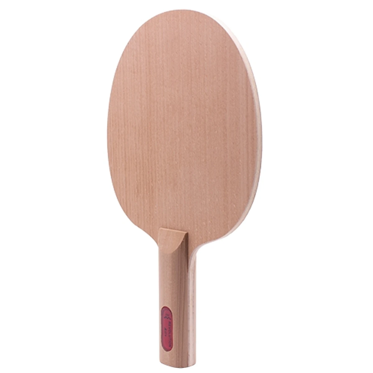 Der Materialspezialist Holz Revolution Anatomisch â Bild 2